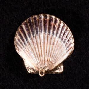 Muschel Anhänger ~ 50 x 45 mm, braun gold 1 Stück